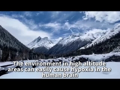 Plato difüzyon oksijen jeneratörü